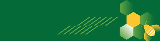 Boas Prticas Agrcolas - Coexistncia Polinizadores