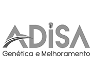 Adisa