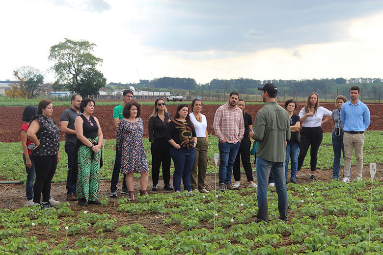 CropLife Brasil coordena capacitação de examinadores do Instituto Nacional da Propriedade Industrial (INPI)