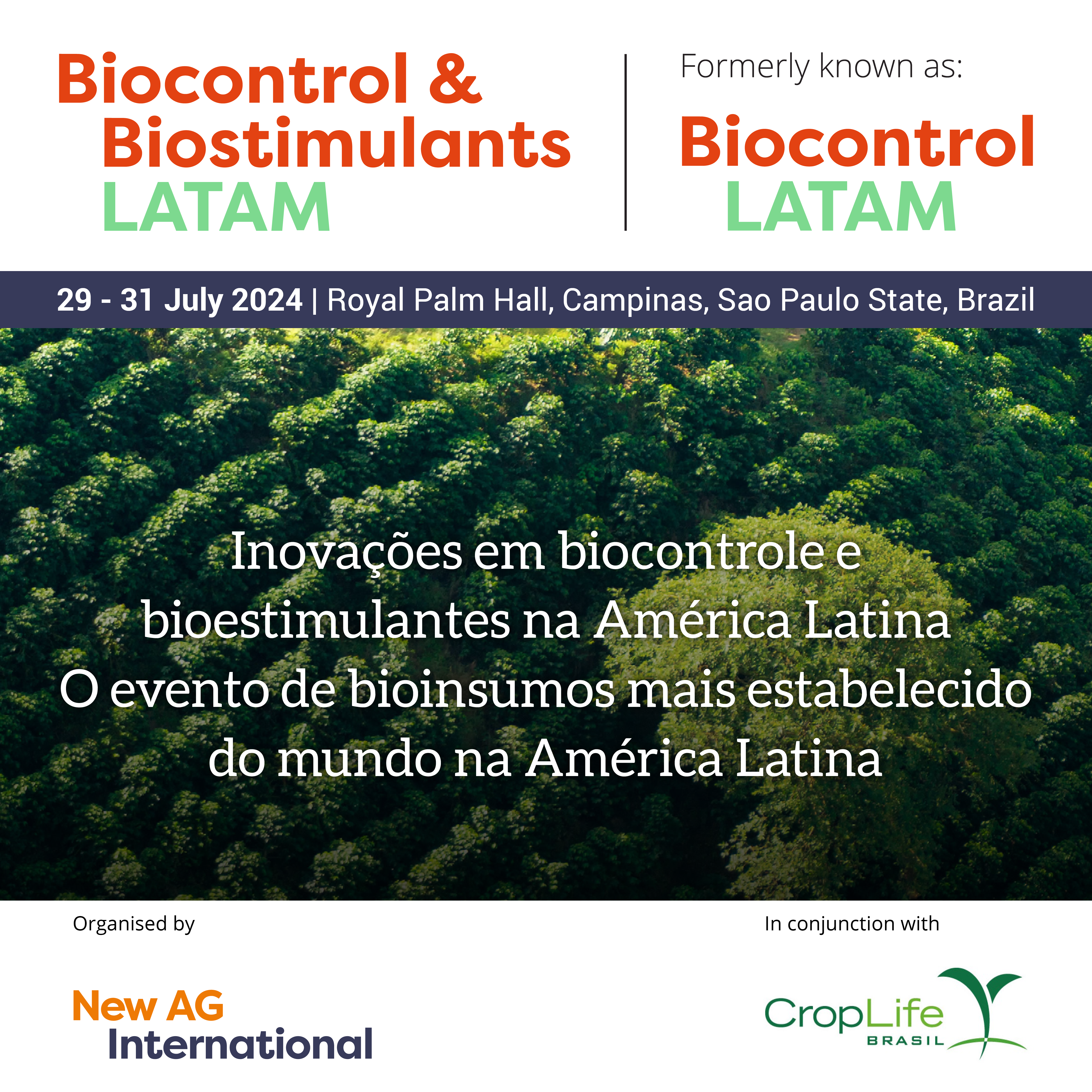 Foto-Divulgacao-New-AG-International
